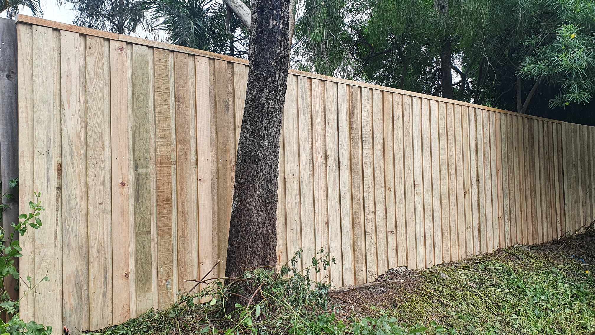 Fencing strathpine brisbane