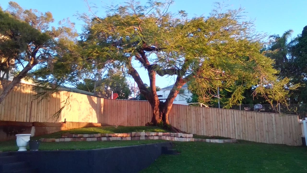 Fencing strathpine brisbane